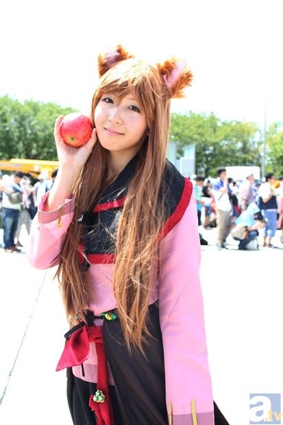 仙剑“龙葵”手办3天众筹成功 2000人支持-开云平台